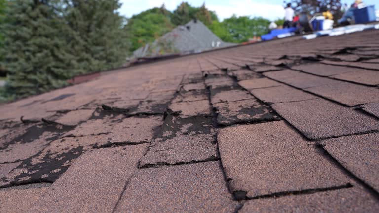 Best EPDM Roofing  in Wilmington, OH